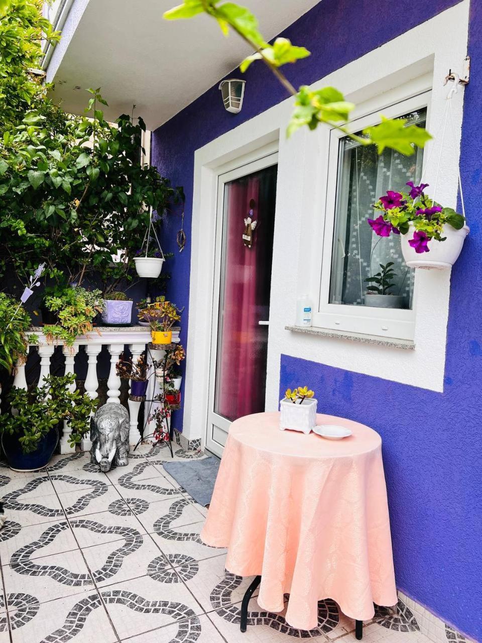 Mira Apartment Pula Exterior photo