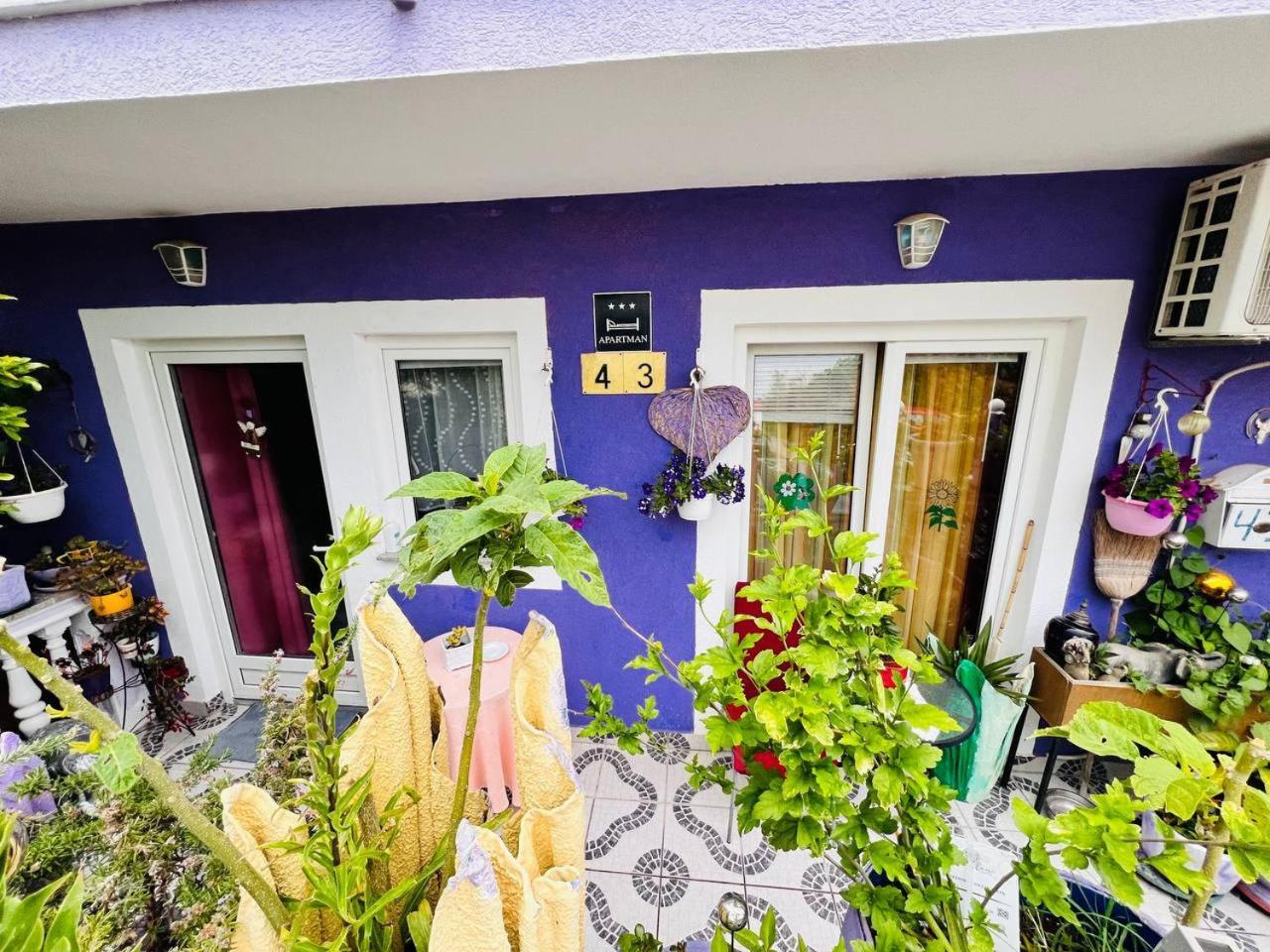 Mira Apartment Pula Exterior photo